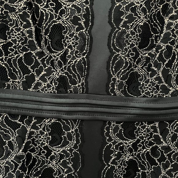XSCAPE Black  / Beige Lace Overlace   Cocktail Dress - Picture 5 of 8